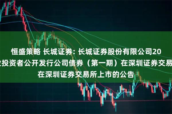 恒盛策略 长城证券: 长城证券股份有限公司2025年面向专业投资者公开发行公司债券（第一期）在深圳证券交易所上市的公告