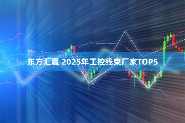 东方汇赢 2025年工控线束厂家TOP5