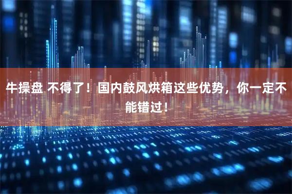 牛操盘 不得了！国内鼓风烘箱这些优势，你一定不能错过！