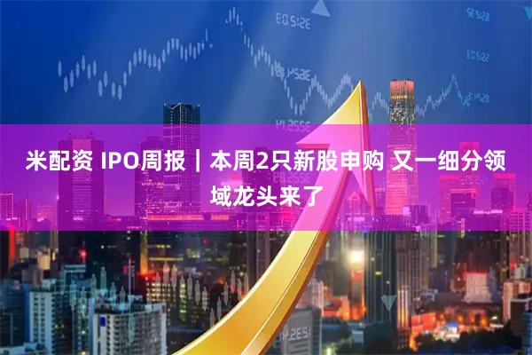 米配资 IPO周报｜本周2只新股申购 又一细分领域龙头来了