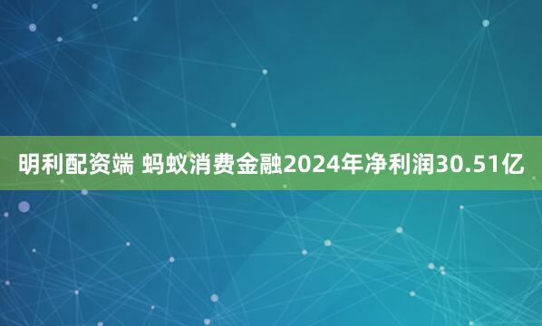 明利配资端 蚂蚁消费金融2024年净利润30.51亿