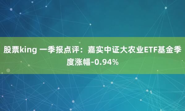 股票king 一季报点评：嘉实中证大农业ETF基金季度涨幅-0.94%
