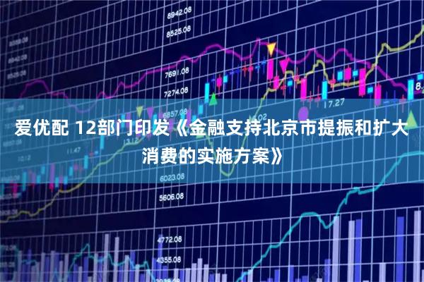 爱优配 12部门印发《金融支持北京市提振和扩大消费的实施方案》